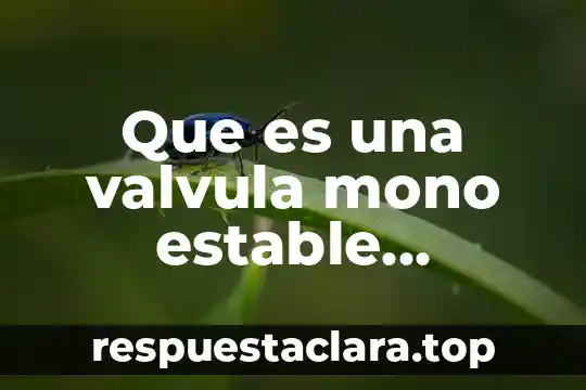 Por que es importante tener una firma estable 3 Que es una valvula mono estable accionada por rodamiento