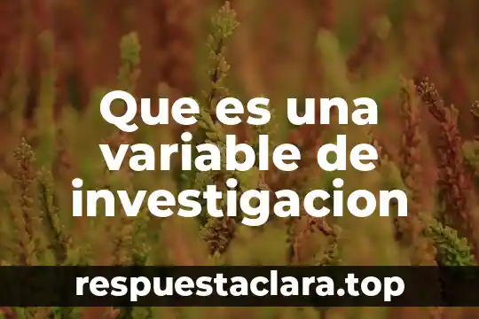 En una investigación qué es la hipótesis 4 Que es una variable de investigacion