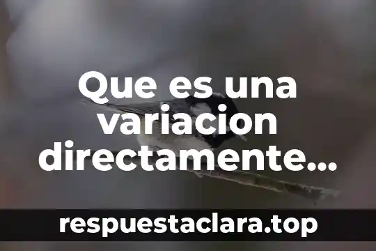 Que es una variacion directamente proporcional e inversamente proporcioonaa