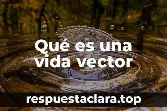 Qué es una vida necia en filosofía 3 Qué es una vida vector