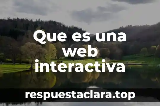 Que es una web interactiva