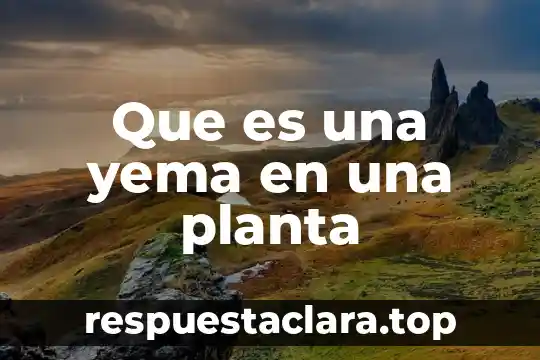 Que es una planta movil 8 Que es una yema en una planta
