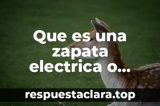 Que es una zapata electrica o terminal