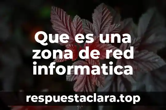 Que es una zona de red informatica