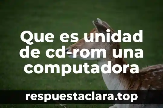 Que es unidad de cd-rom una computadora