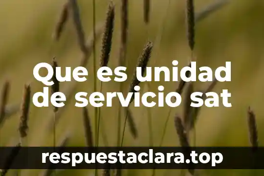 Nombre de servicio cfe 6 Que es unidad de servicio sat