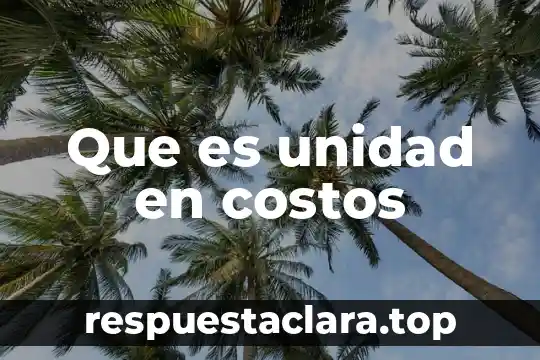 Que es unidad en costos
