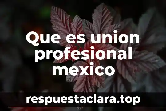 Que es union profesional mexico