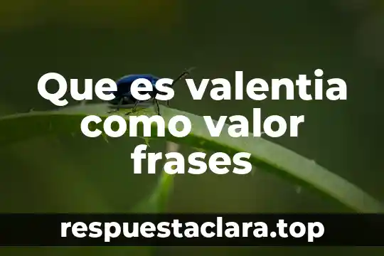Que es valentia como valor frases