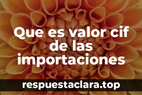Que es la subsidiariedad como valor 8 Que es valor cif de las importaciones