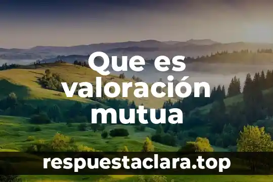 Que es un cuadro de valoracion 4 Que es valoración mutua