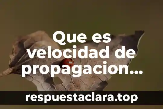 Que es un harem yahoo 3 Que es velocidad de propagacion yahoo