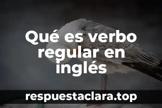 Qué es un polígono regular y sus elementos 4 Qué es verbo regular en inglés