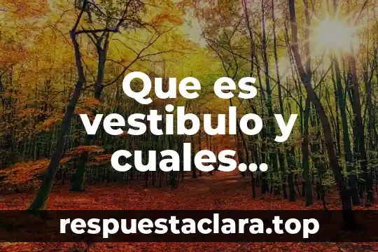 Que es vestibulo y cuales estructuras anatomicas lo conforman