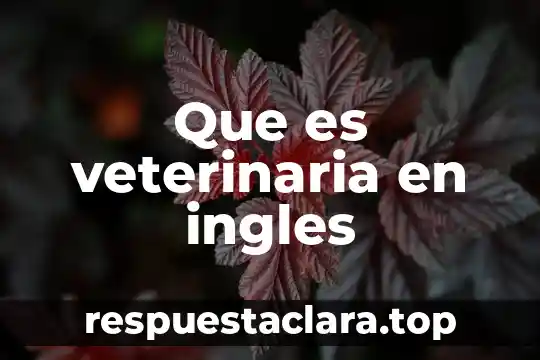 Que es veterinaria en ingles