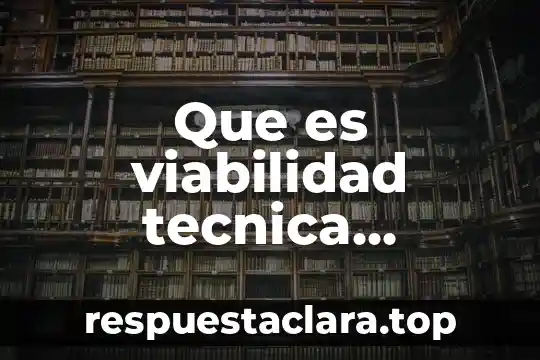Que es un argumento un ejemplo 4 Que es viabilidad tecnica ejemplo