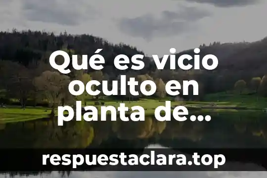 Planta nixtamalizadora que es 8 Qué es vicio oculto en planta de emergencia