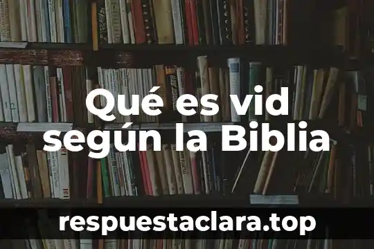 Qué es vid según la Biblia