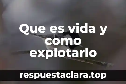 Que es vida y como explotarlo