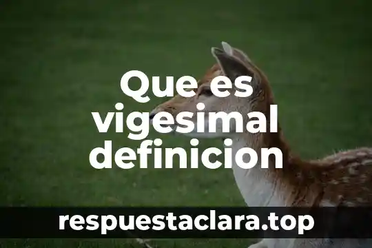 Que es una cuenca definición 5 Que es vigesimal definicion