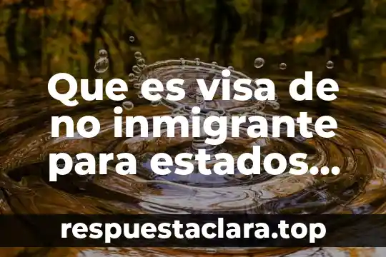 Que es visa de no inmigrante para estados unidos