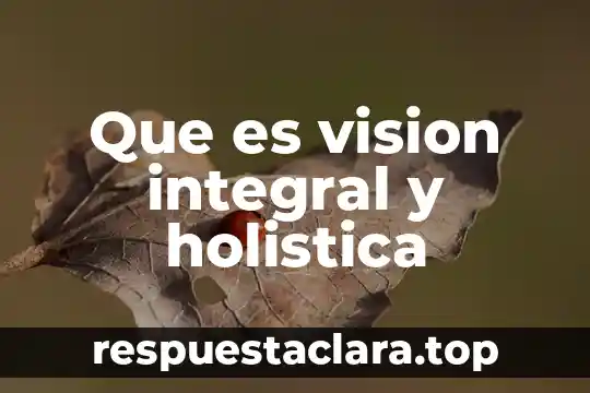 Que es vision integral y holistica