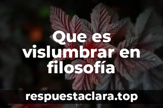 Que es vislumbrar en filosofía