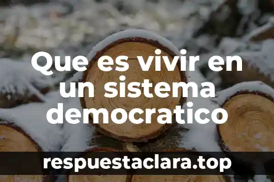 Qué es una teoría un sistema una escuela 8 Que es vivir en un sistema democratico