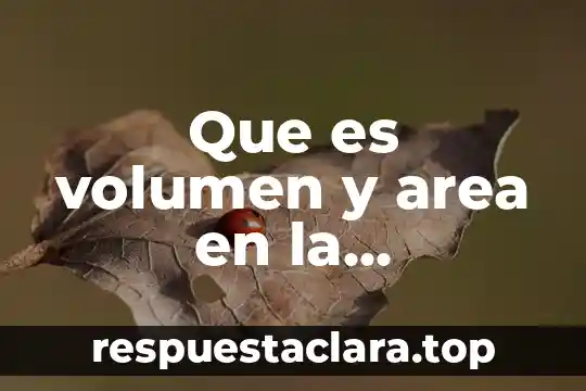 Que es volumen y area en la geometría plana