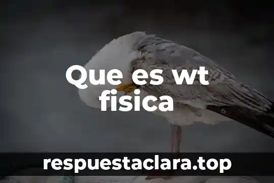 Que es wt fisica