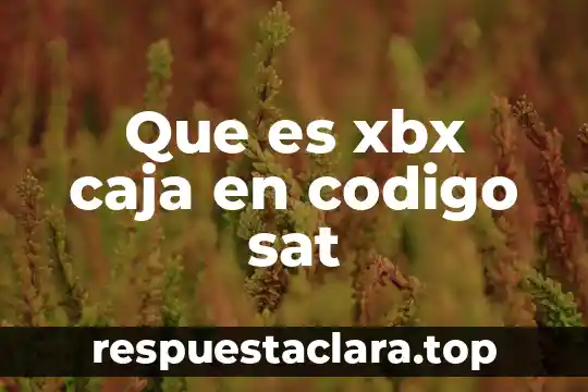 Que es xbx caja en codigo sat