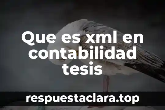 Que es el lenguaje xml 8 Que es xml en contabilidad tesis