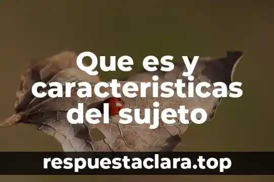 Que es y caracteristicas del sujeto