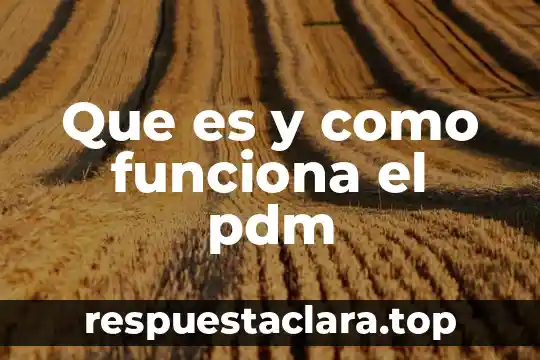 Que es y como funciona el pdm