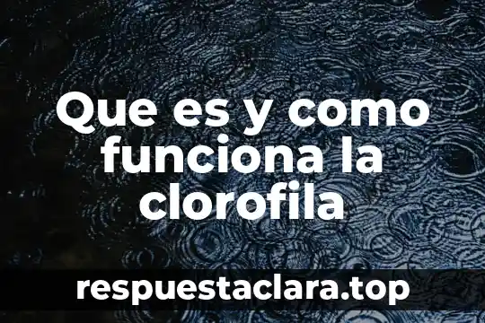 Que es y como funciona la clorofila
