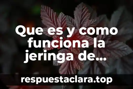 Que es y como funciona la jeringa de pascal