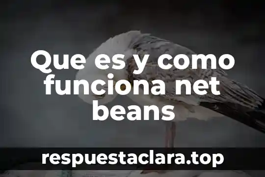 Que es y como funciona net beans