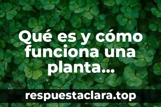 Qué es y cómo funciona una planta termoeléctrica