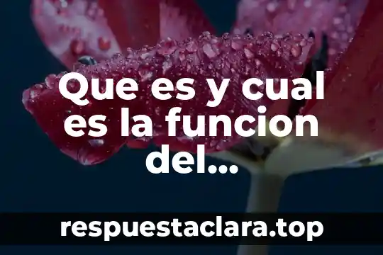 Que es y cual es la funcion del coprocesador matematico