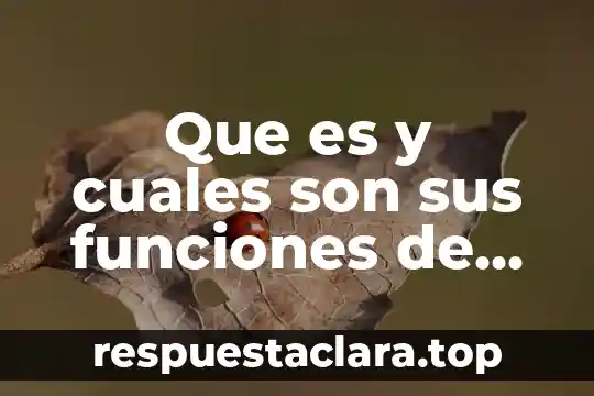 Que es y cuales son sus funciones de stps