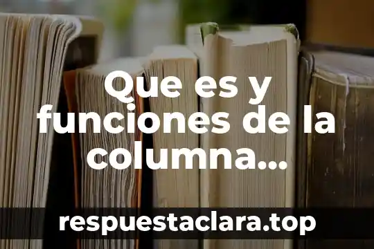 Que es y funciones de la columna vertebral