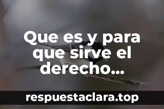 Organismo internacional que es 5 Que es y para que sirve el derecho internacional privado