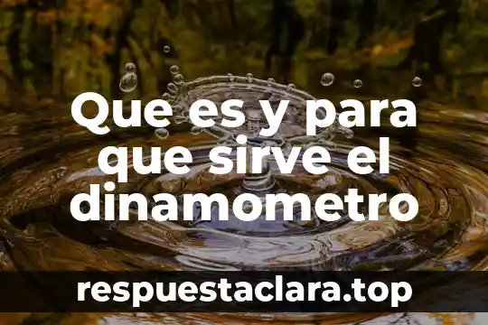 Para qué sirve y qué es la Guardia Nacional significado 8 Que es y para que sirve el dinamometro