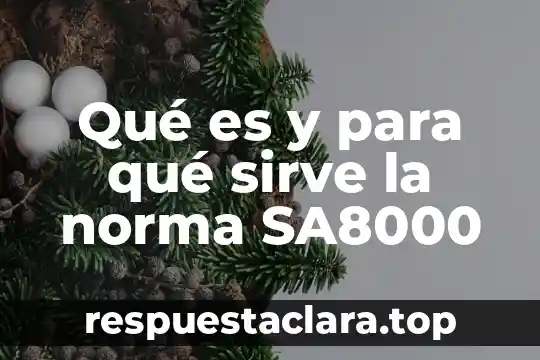 Http concepto de que es norma 6 Qué es y para qué sirve la norma SA8000