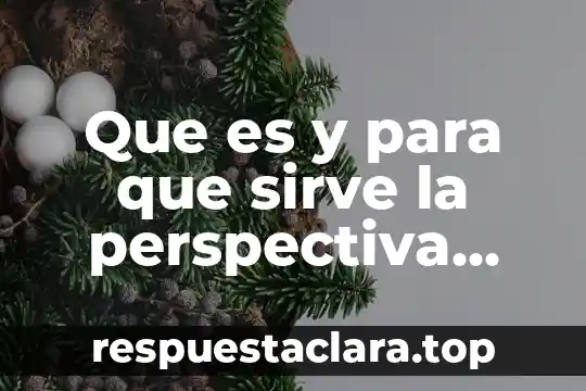 Que es y para que sirve la perspectiva lineal