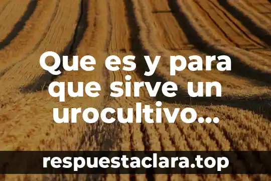 Que es y para que sirve un urocultivo antibiograma