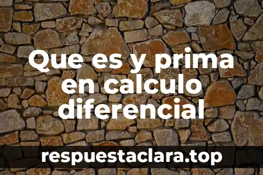 Que es calculo diferencial e integral en la sociedad acual 3 Que es y prima en calculo diferencial