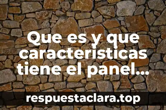 Que es y que caracteristicas tiene el panel brainly
