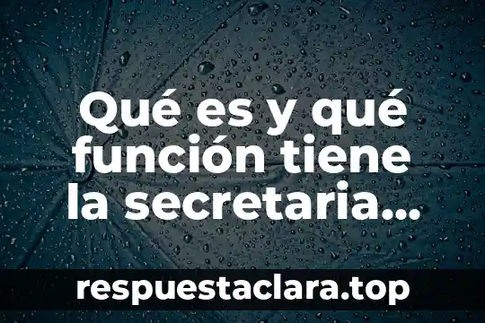 Que es ser regularizado en secretaria de salud 4 Qué es y qué función tiene la secretaria del trabajo