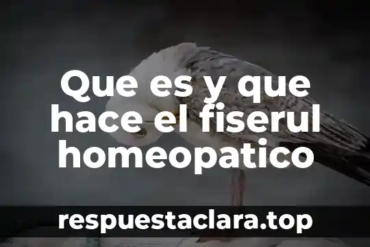 Que es lo que hace una operadora automotriz 3 Que es y que hace el fiserul homeopatico